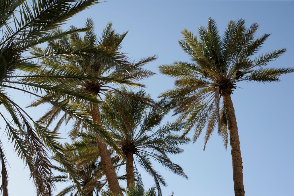 Tighmert Villa Boujouf מראה חיצוני תמונה