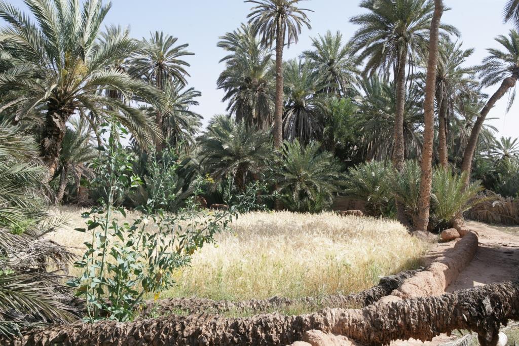 Tighmert Villa Boujouf מראה חיצוני תמונה